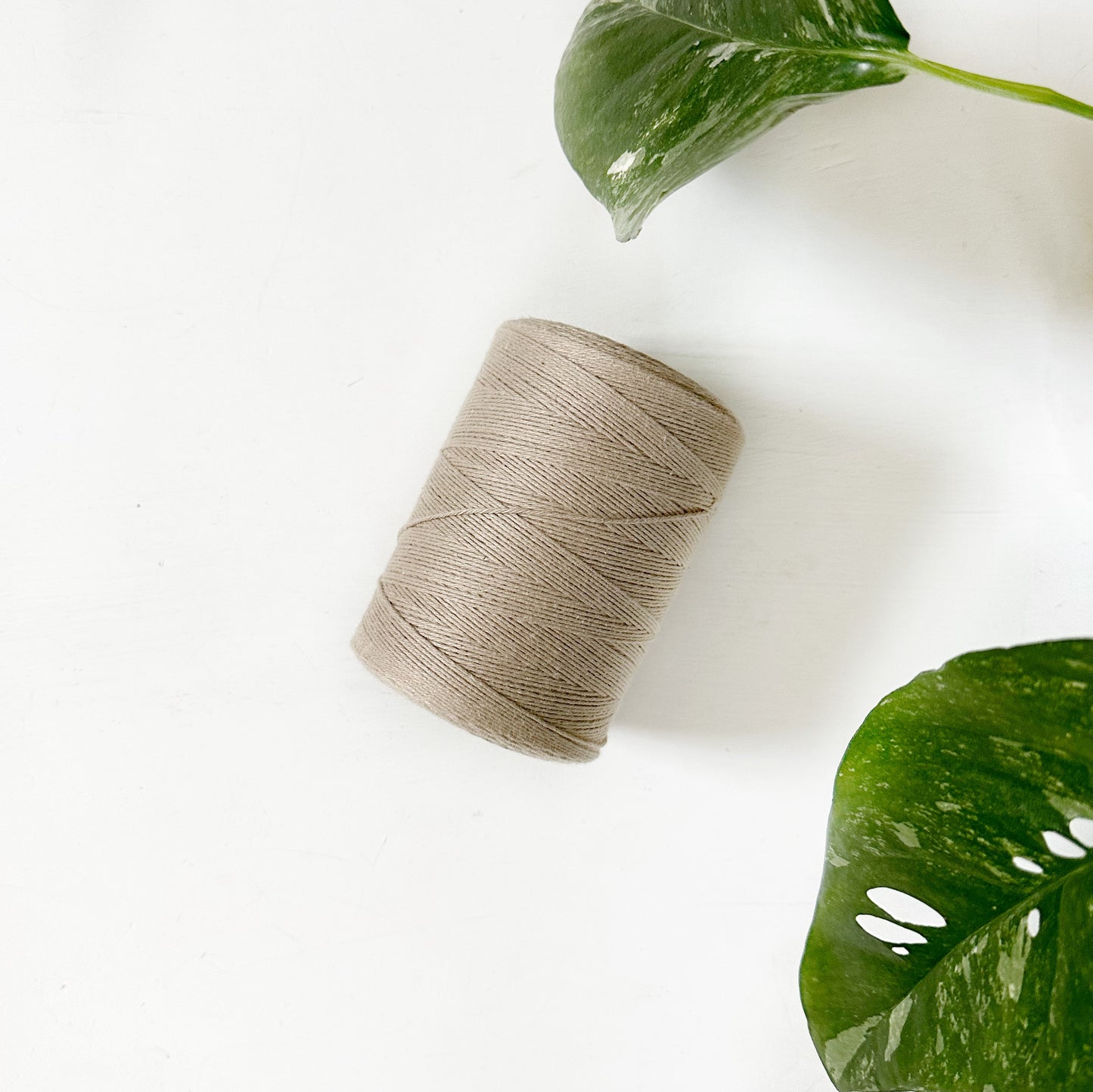Cotton Warp Thread